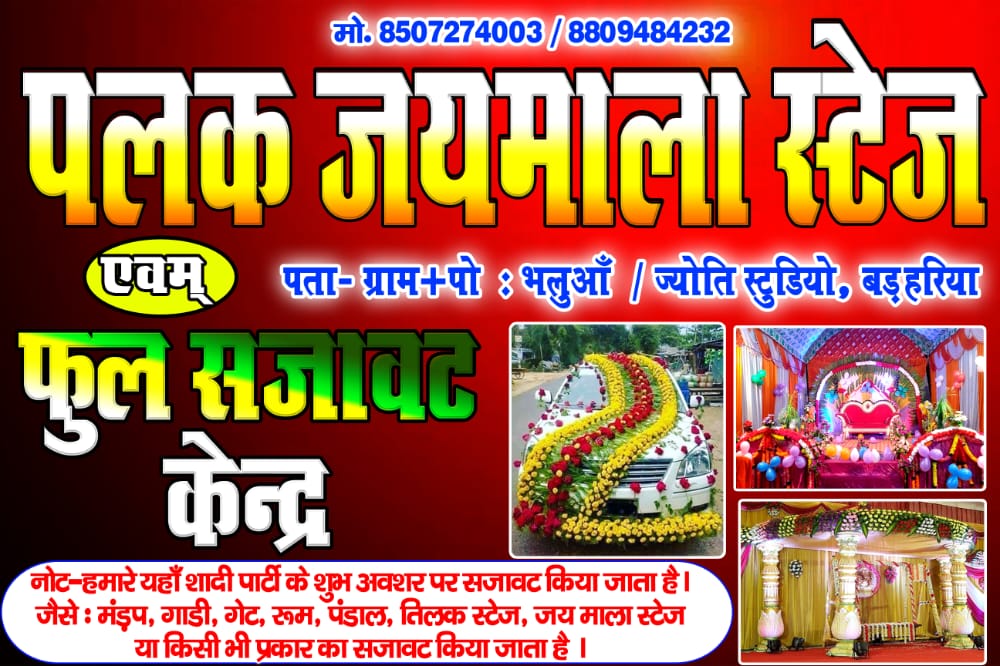 palal-image